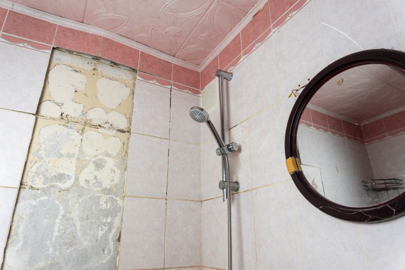 Top Shower Remodeling Companies in North Aurora, IL