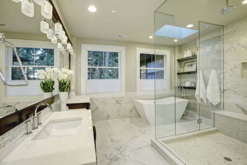 Top Shower Remodeling Companies in Schaumburg, IL